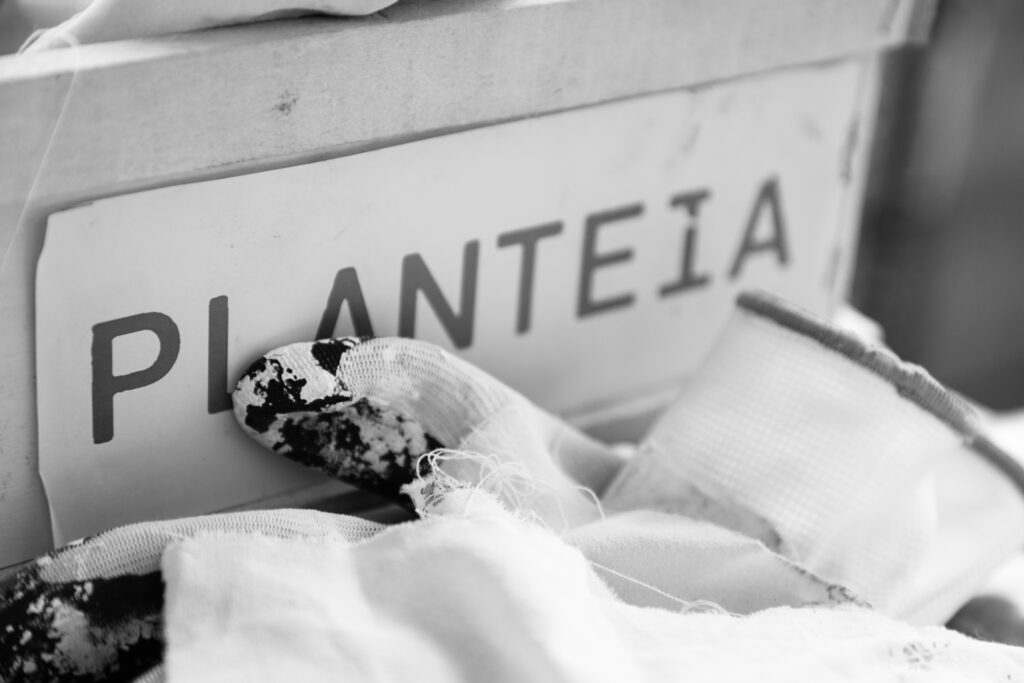 ©JoaoRoldao 2021 23Milhas PLANTEIA Pintar 23Maio Completo LowRes 113