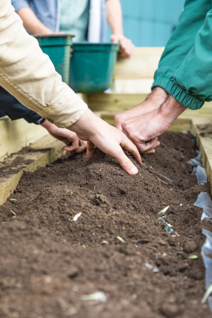 Mãos a mexer na terra durante atividade comunitária no PLANTEIA
