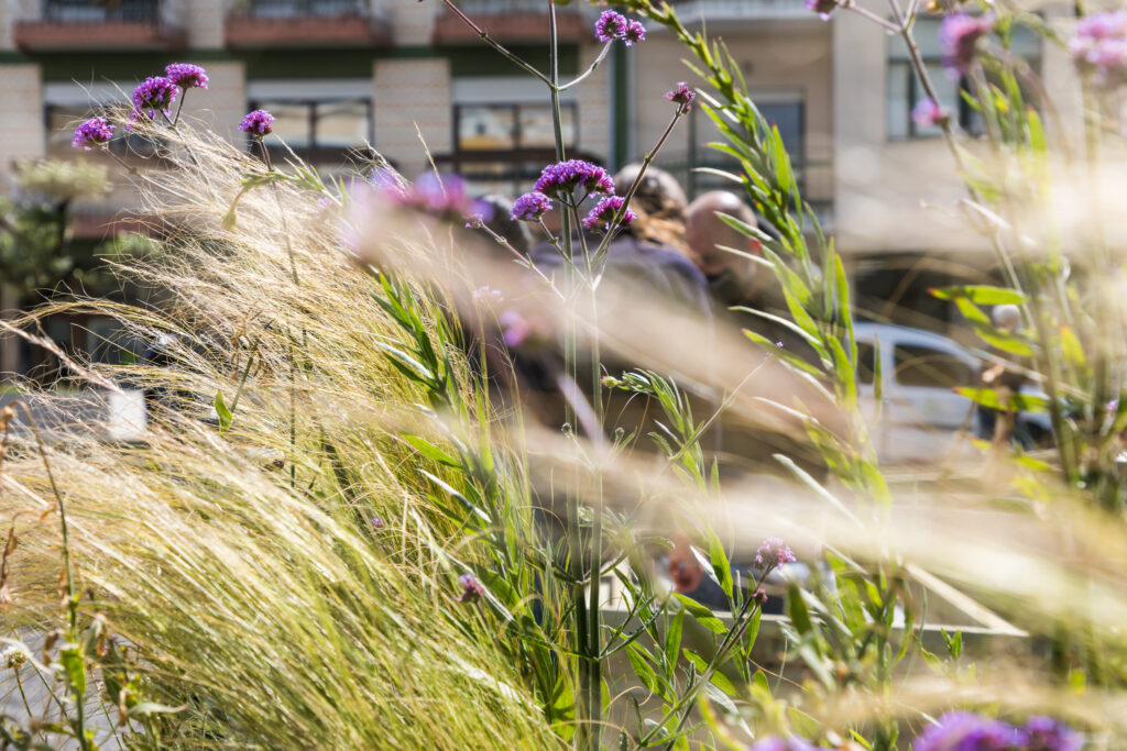 ©JoaoRoldao 2021 PLANTEIA 13Maio 23Milhas LowRes 50