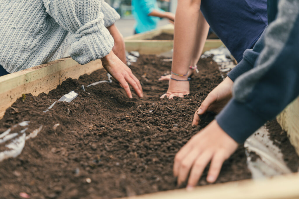 Oficina comunitária no jardim do projeto PLANTEIA