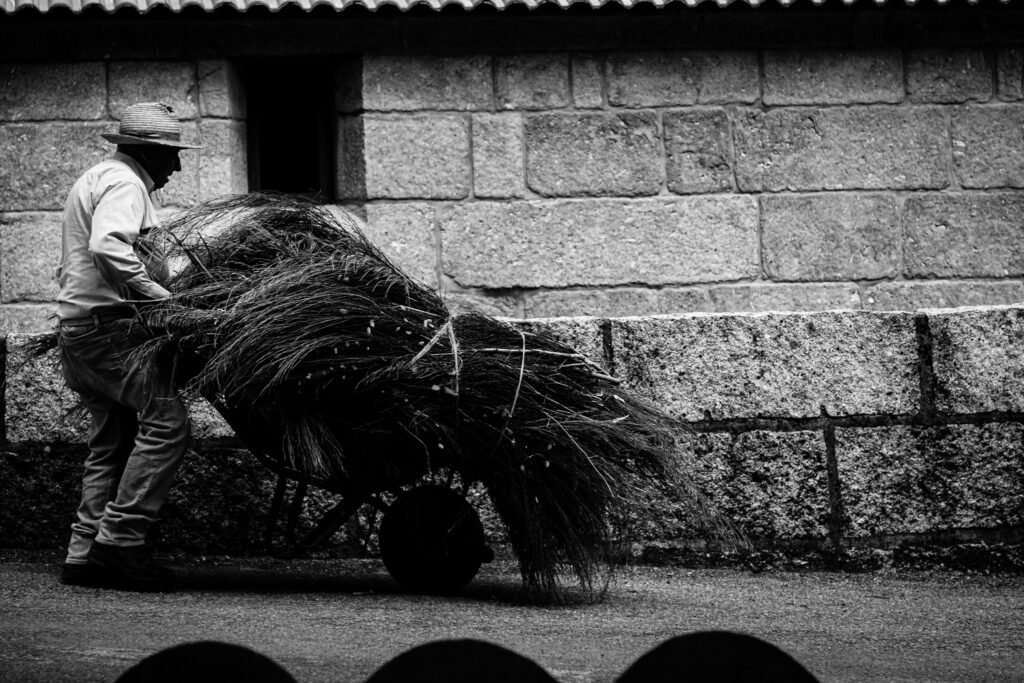 ALDEAR — fotografia documental de projeto cultural em aldeia