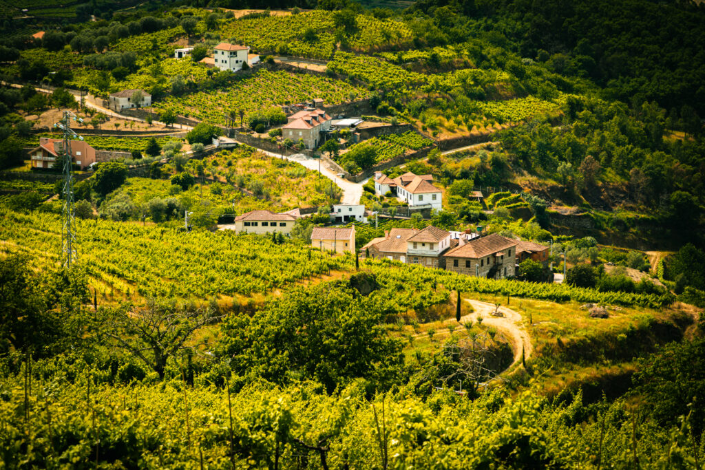 ALDEAR — paisagem e território onde decorre o projeto
