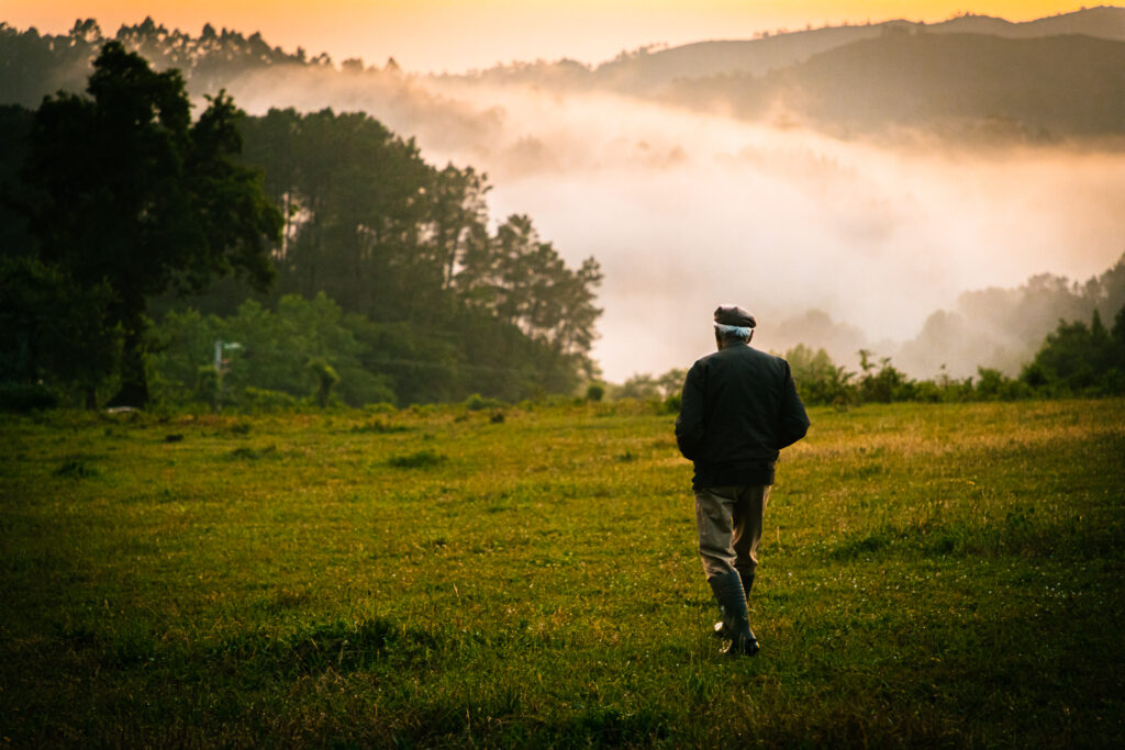 ALDEAR — retrato durante processo participativo
