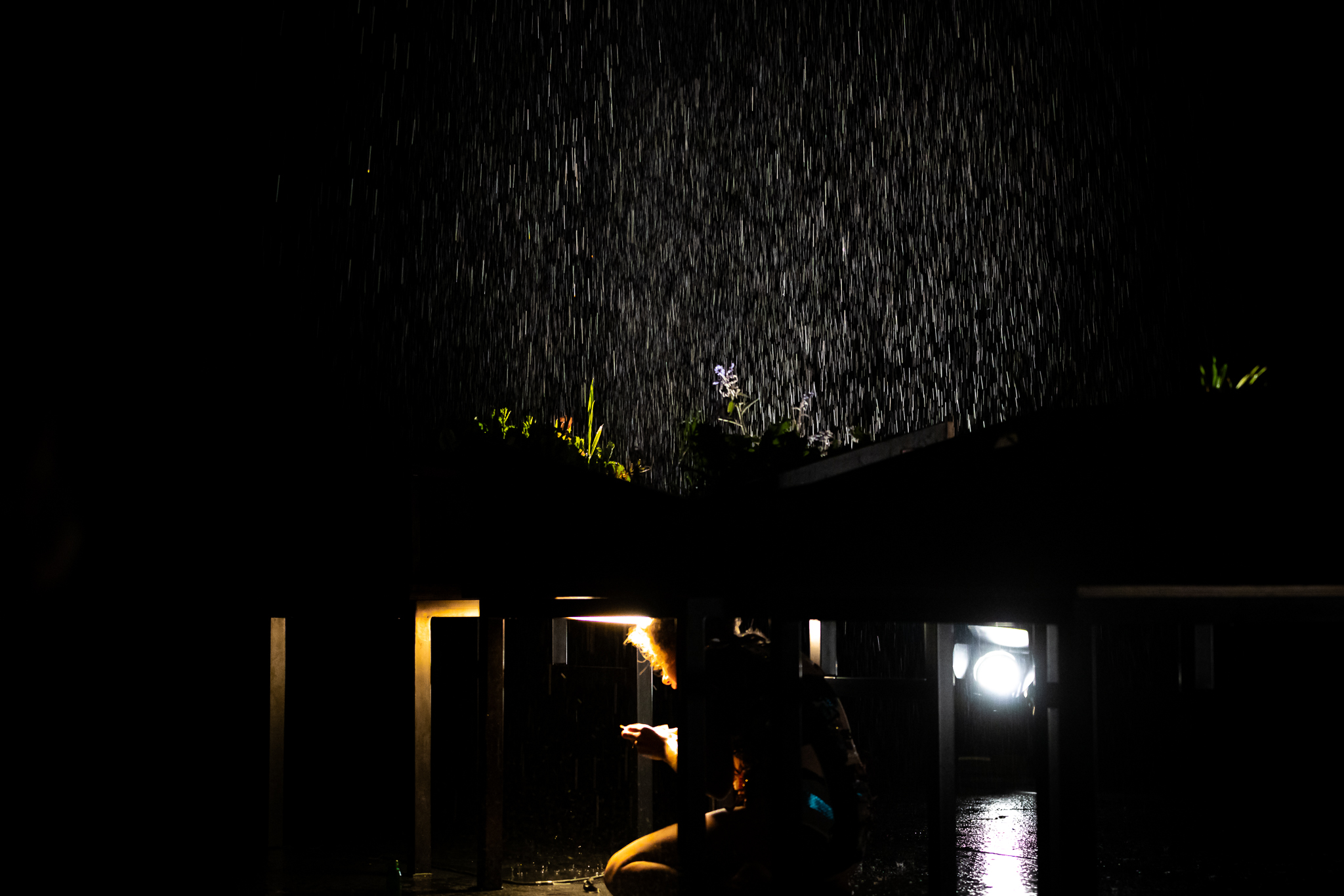 ©JoaoVersosRoldao 2024 TNDMII UMCOLETIVO PenelopeII Floracao Apresentacao 19mar Montemor o Novo LowRes 33 1