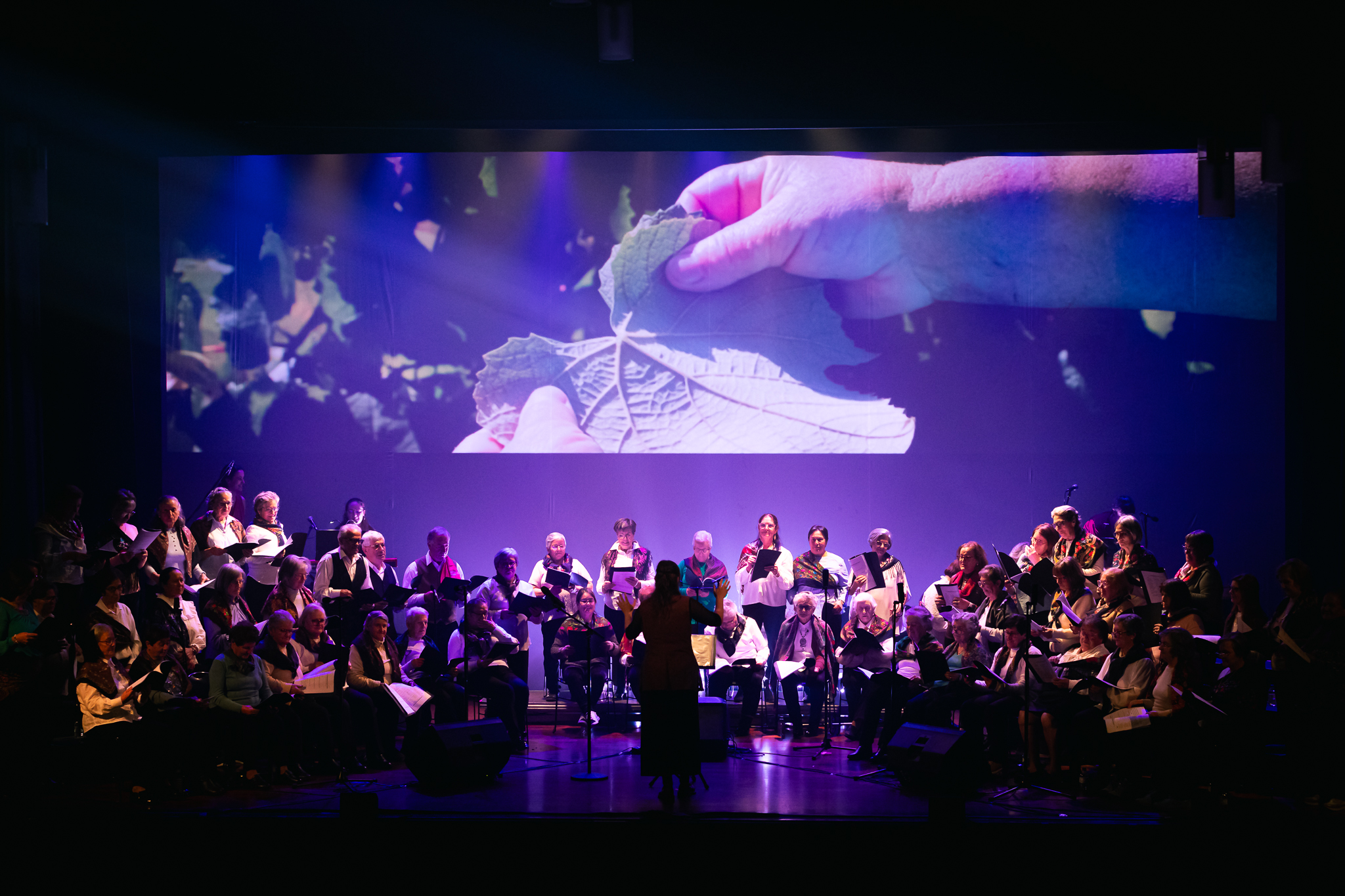 Desbravar — ensaio e criação interdisciplinar