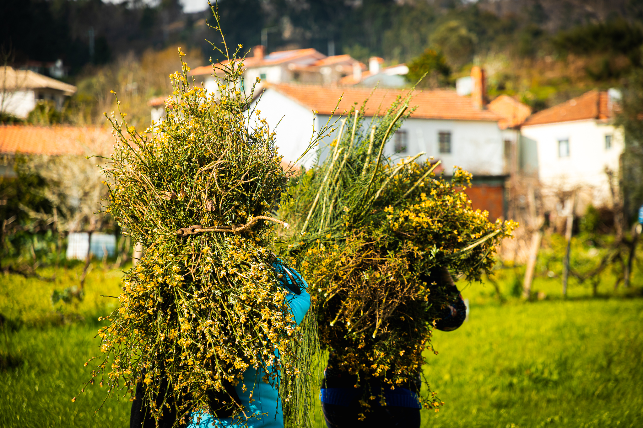 Desbravar — registo de processo artístico em Vale de Cambra